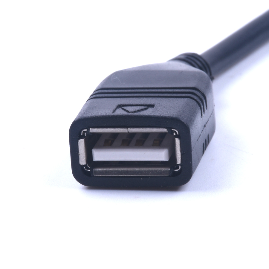 Cavo USB AUX per auto Cavo ada - Audio Music Interface recensione e prezzo