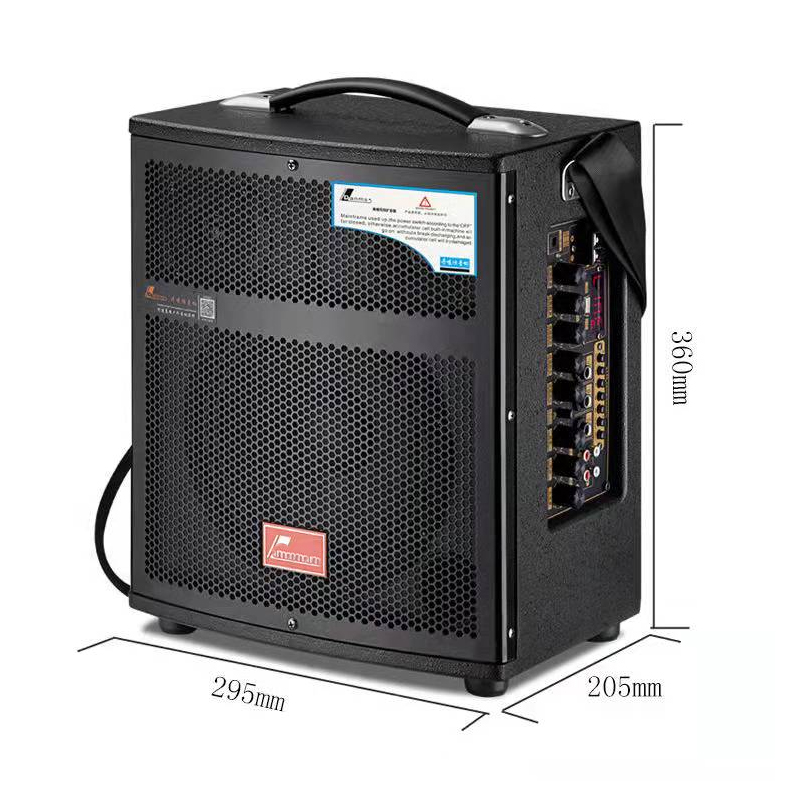 Altoparlante Audio Portatile d - Music Song Audio recensione e prezzo