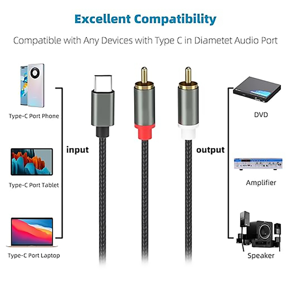 Cavo audio da USB C a 2 RCA, t - Audio Music Splitter recensione e prezzo