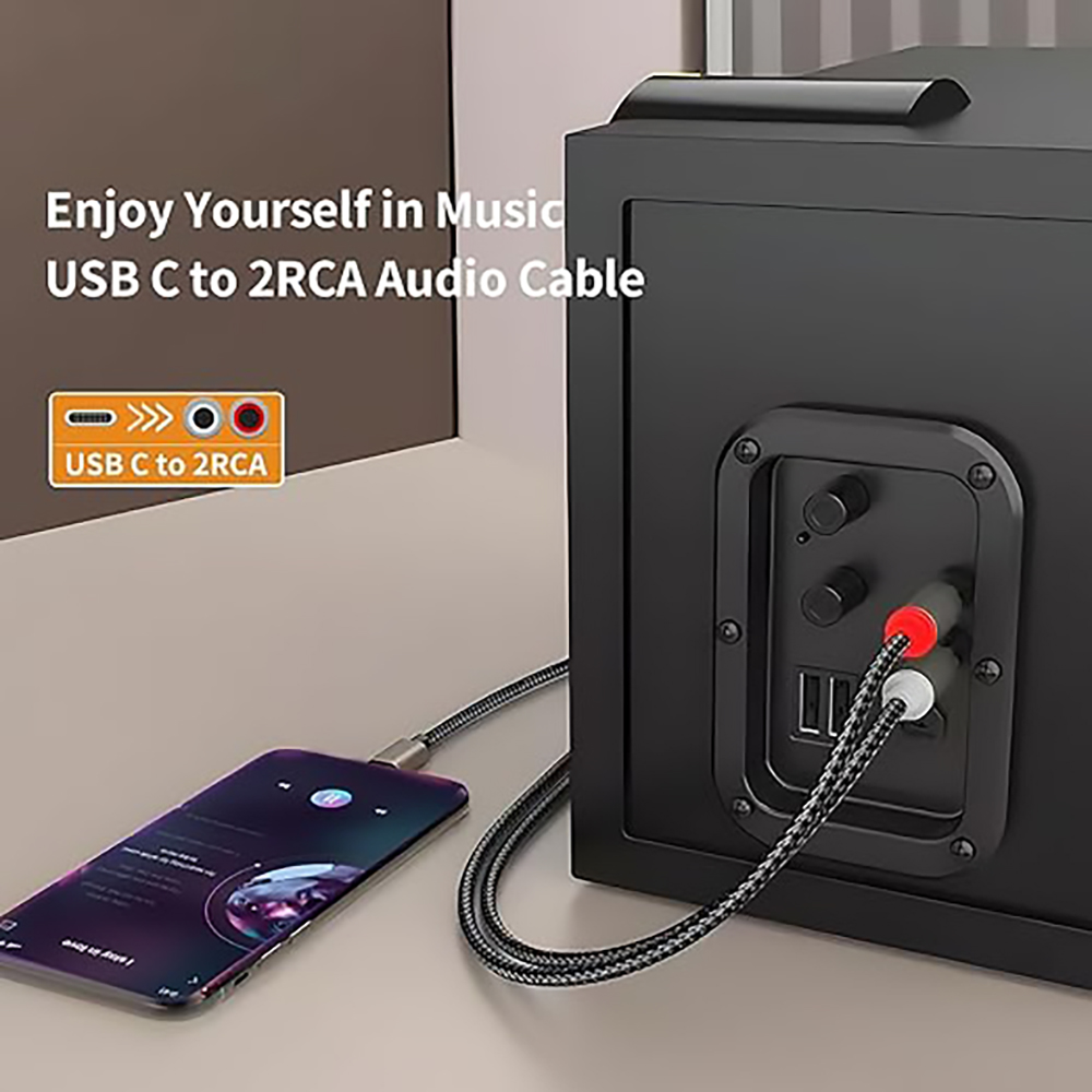 Cavo audio da USB C a 2 RCA, t - Audio Music Splitter recensione e prezzo